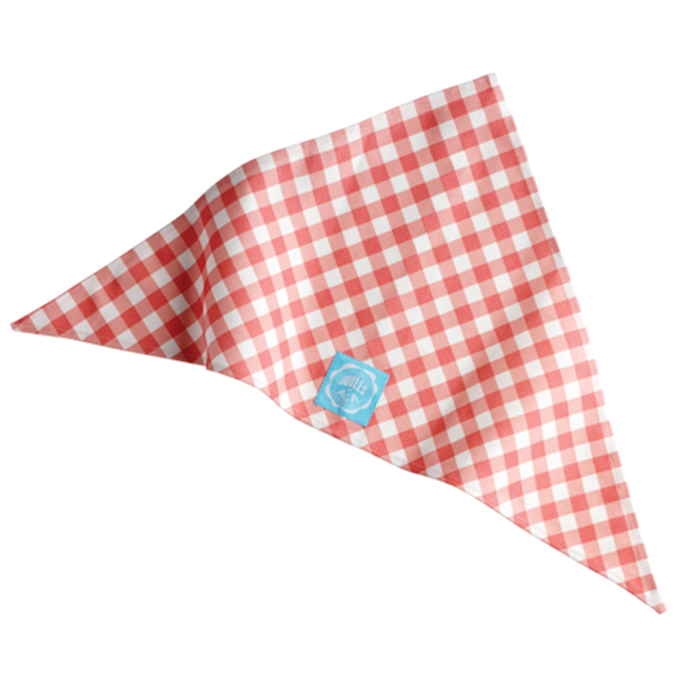 Joules at AGA Children's Gingham Headscarf